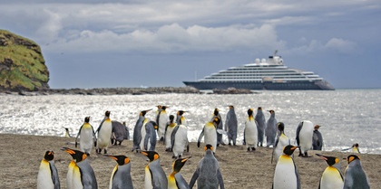 Penguins, Antarctica