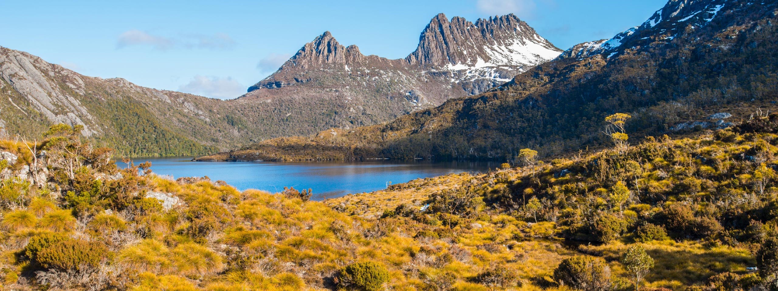 Tasmanian Wonders
