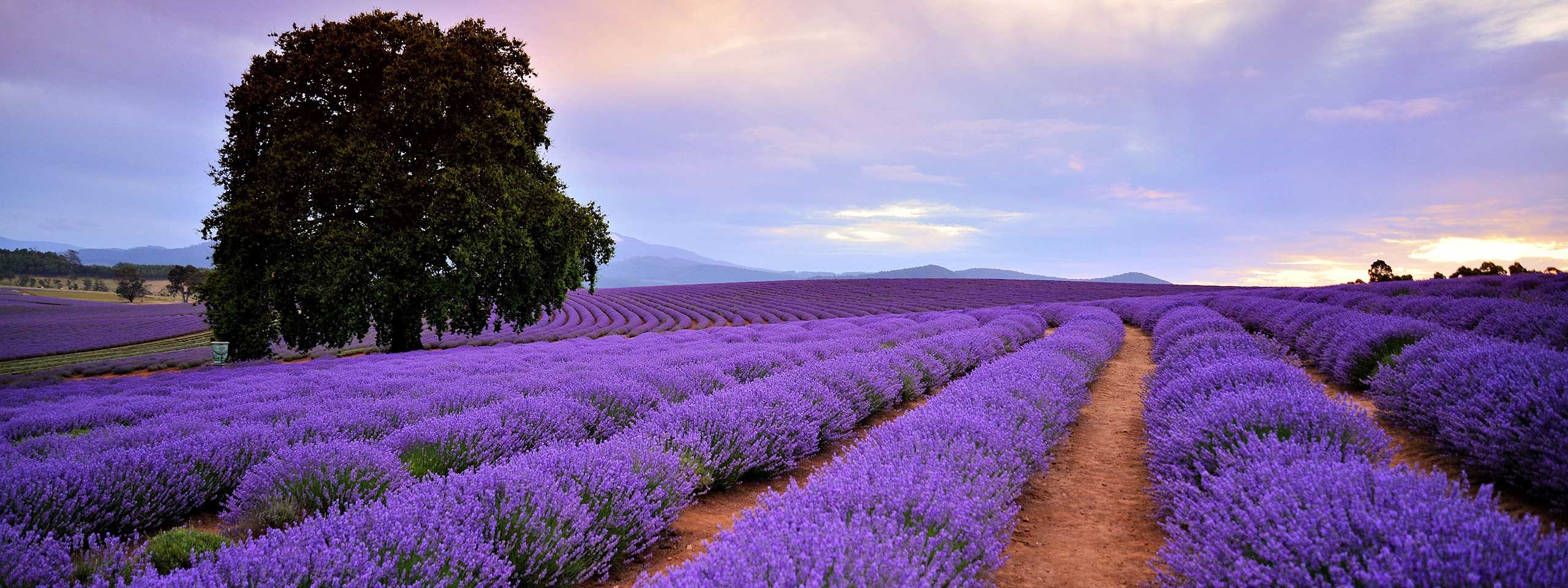 Tassie Getaway