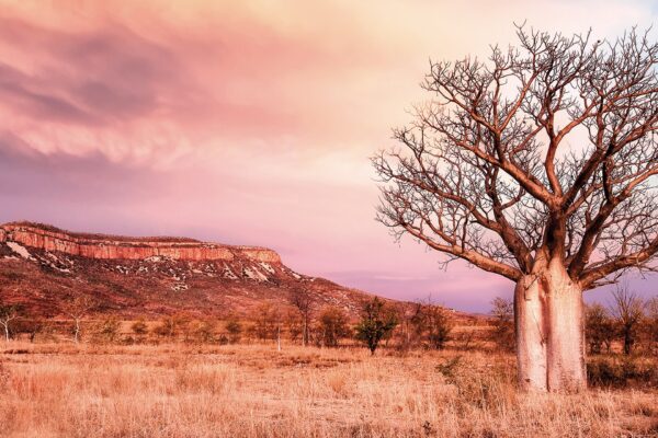 Wonders of the West Coast and Kimberley